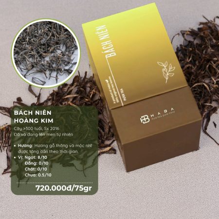 Synergistic Paper Table