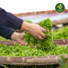 Tra-sach-6-khong-tra-huu-co-4