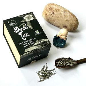 Bạch Trà Suối Giàng Cổ Thụ 300 Năm | Chén Trà Của Thời Gian Và Đẳng Cấp | QTea