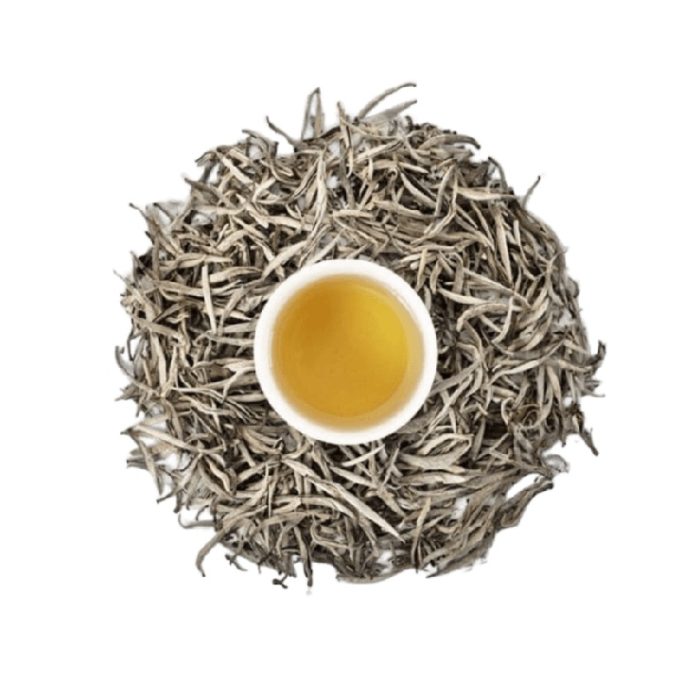 bach-tra-qtea-shan-co-thu-bt