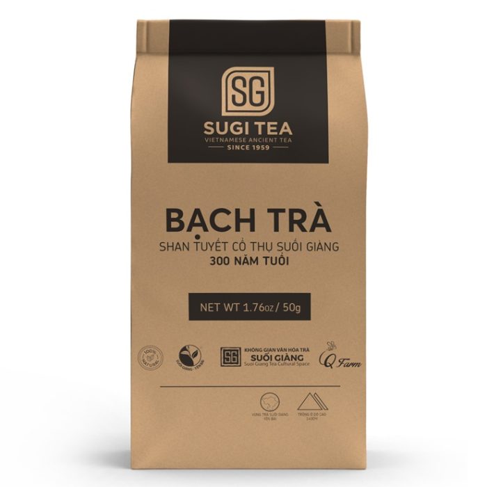 bach-tra-tui-giay-mockup