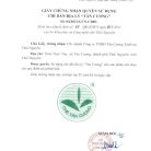 chi-dan-dia-ly-tra-tan-cuong-thai-nguyen-tan-cuong-xanh