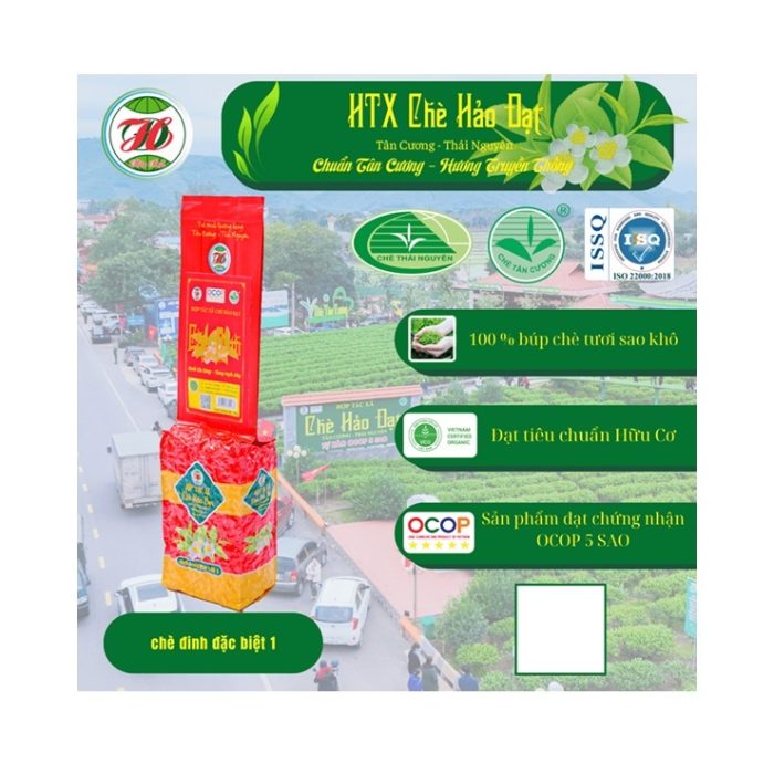 dinh-dac-biet-hao-dat-1