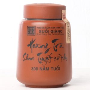 Hoàng Trà Suối Giàng 300 Năm Tuổi | Khi Núi Rừng Kết Tinh Thành Vị Trà Hoàng Gia | VHT