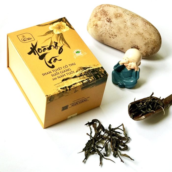 hoang-tra-shan-tuyet-co-thu-300-nam