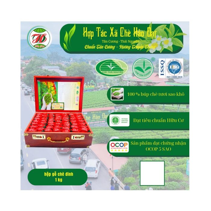 hop-go-tra-dinh-kim-tuyen-dong-am-td