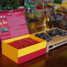 hop-tra-dinh-kim-tuyen-dong-am-1