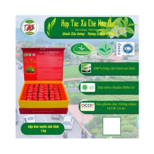 Hộp Trà Đinh Kim Tuyên Đóng Ấm 1KG (80 gói 12,5g) | Quà Biếu Tặng Cao Cấp | Đạt Chuẩn OCOP 5 sao, Xuất Khẩu