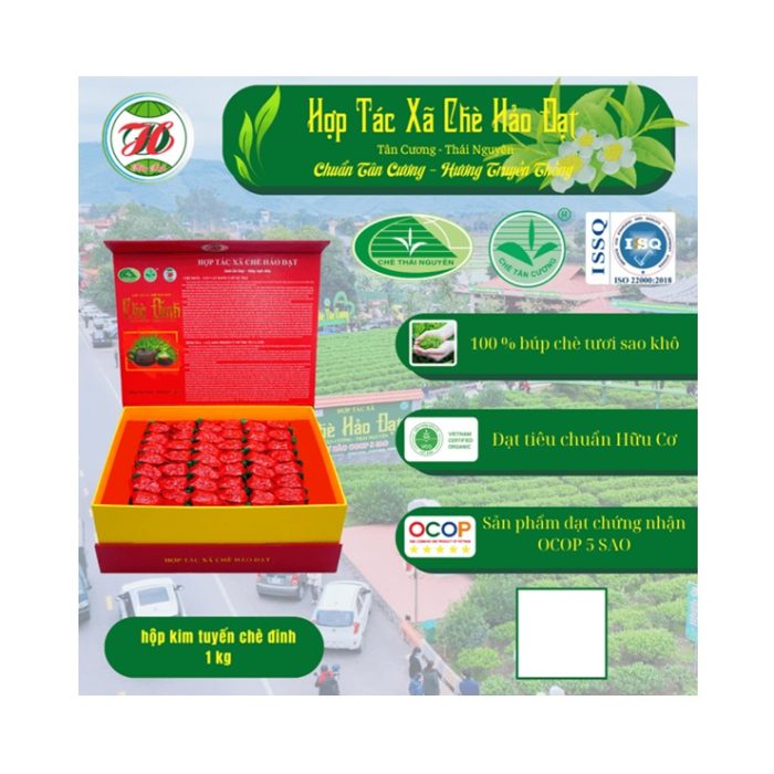 hop-tra-dinh-kim-tuyen-dong-am-td