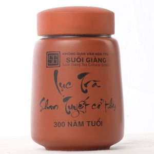 Lục Trà Shan Tuyết Cổ Thụ Suối Giàng 300 Năm Tuổi Tuyển Chọn | Vị Trà Của Sự Tĩnh Tại | VHT