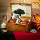 tinh-tuy-tra-bach-tra-shan-tuyet-co-thu-300-nam-tuoi-Q09-1