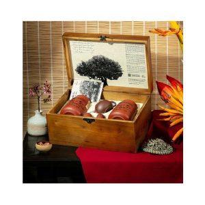 Tinh Túy Trà Xuân | Trăng Tròn Viên Mãn, Trà Quý Ấm Sang | Quà Biếu Sang Trọng | Q09