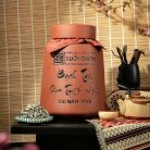 tinh-tuy-tra-bach-tra-shan-tuyet-co-thu-500-nam-tuoi-Q10-td