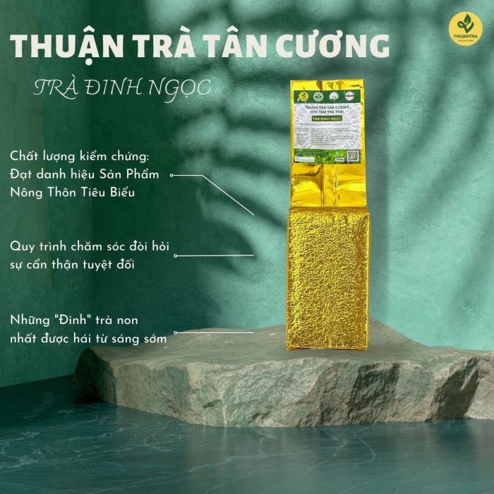 tra-dinh-ngoc-6
