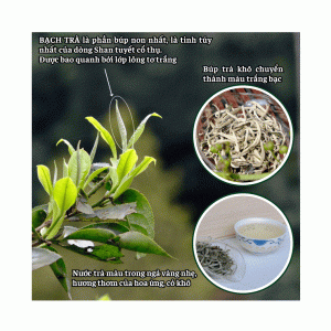 Bach-Tra-Shan-OCOP-4-sao-Hop-400g-2