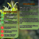 Bach-Tra-Shan-OCOP-4-sao-Hop-400g-4