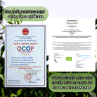 Bach-Tra-Shan-OCOP-4-sao-Hop-400g-5