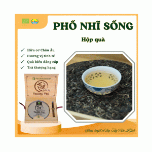 Bánh Phổ Nhĩ Sống Vụ Xuân - 357 Gram | Shan Tuyết Cổ Thụ Tây Côn Lĩnh | Hữu Cơ EU | Biếu Tặng Lãnh Đạo, Đối Tác