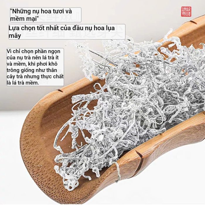 bach-tra-may-ho-nam-3 bach-tra-may-ho-nam-3