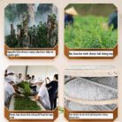 bach-tra-may-ho-nam-4