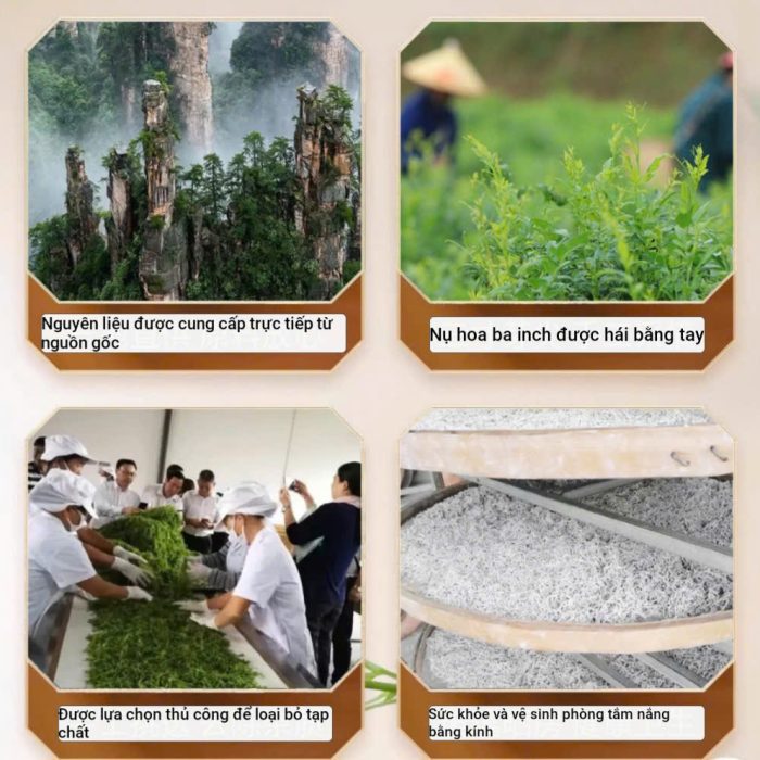 bach-tra-may-ho-nam-4 bach-tra-may-ho-nam-4