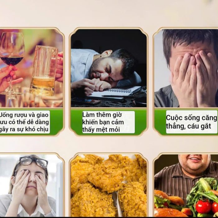 bach-tra-may-ho-nam-6 bach-tra-may-ho-nam-6