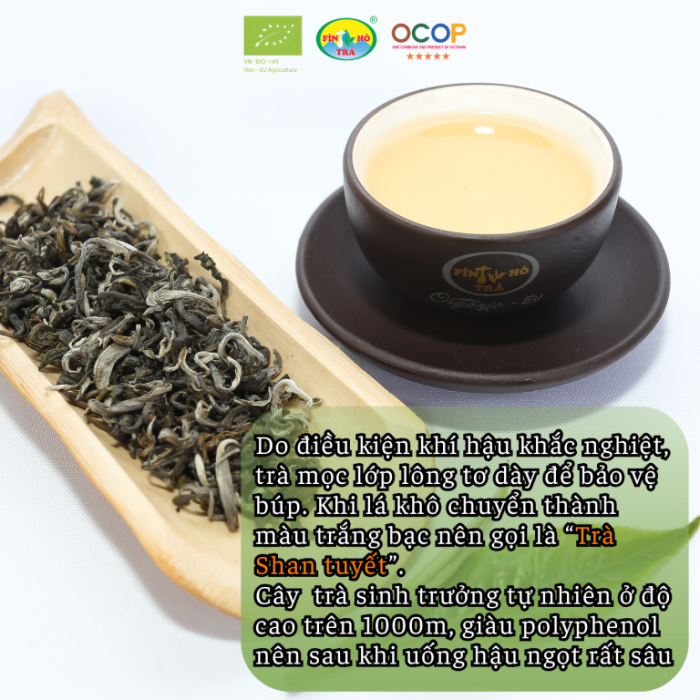 luc-tra-shan-fin-ho-Tra-xanh-OCOP-5-sao-3