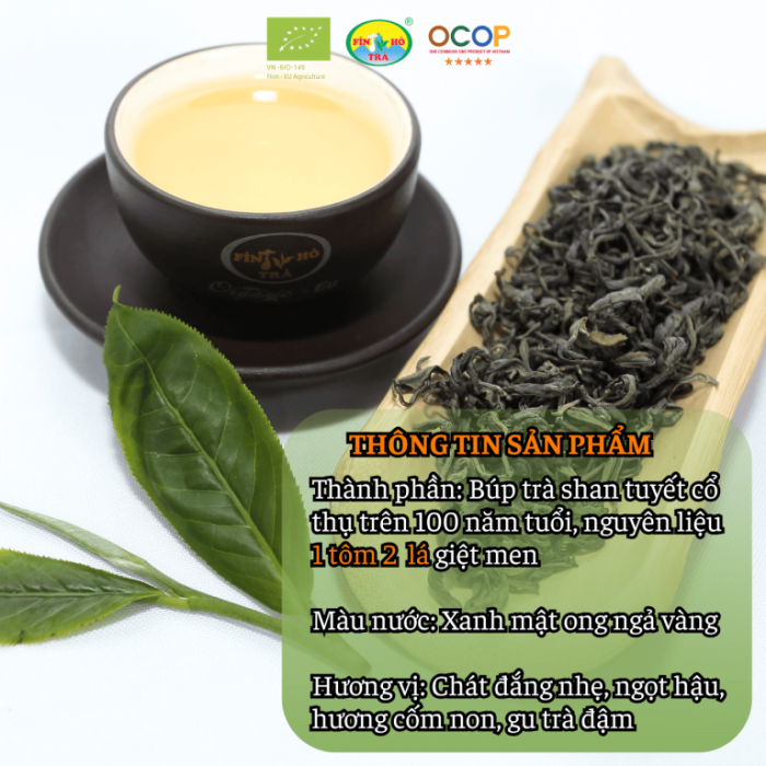 luc-tra-shan-fin-ho-Tra-xanh-chuan-EU-1