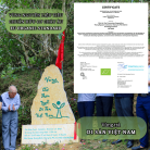 luc-tra-shan-fin-ho-Tra-xanh-chuan-EU-2