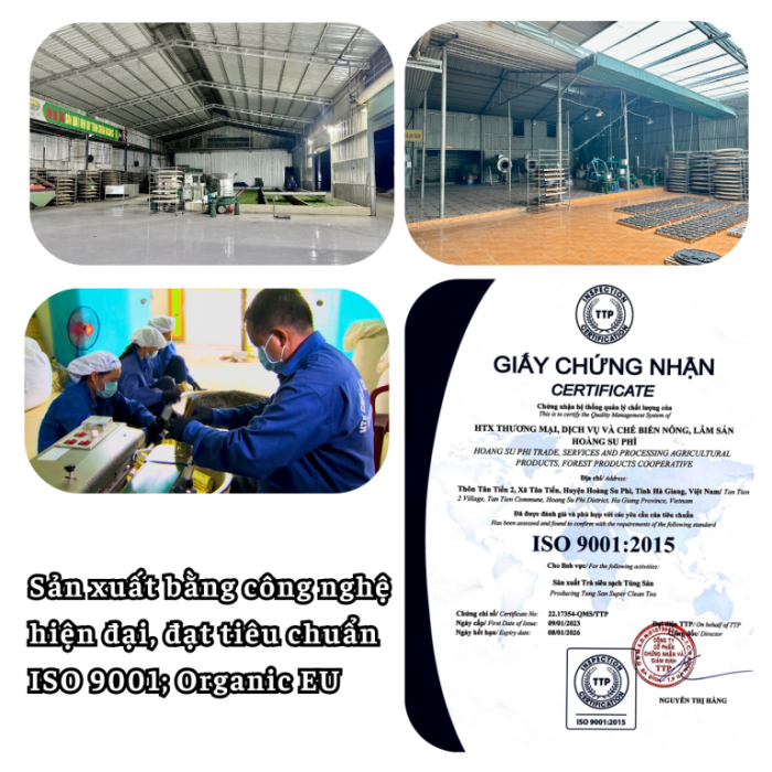 luc-tra-shan-fin-ho-Tra-xanh-chuan-EU-4