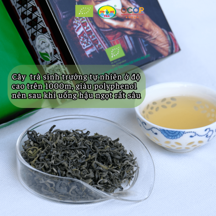 luc-tra-shan-fin-ho-Tra-xanh-chuan-EU