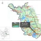 trà bích loa xuân