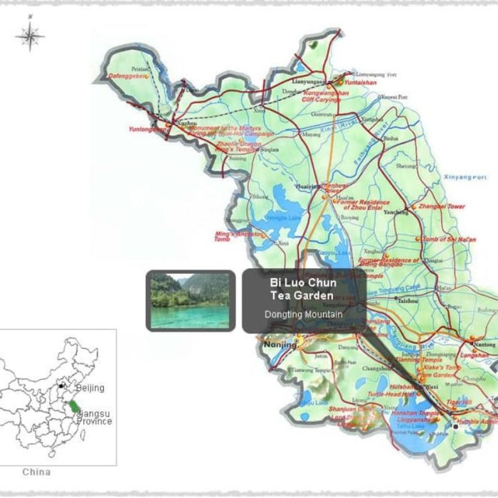 trà bích loa xuân